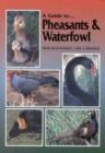Pheasants and Waterfowl - Book