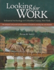 Looking for Work : Industrial Archeology in Columbia County, New York - Book