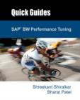 SAP BW Performance Tuning - Book