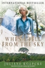 When I Fell From the Sky - Book