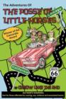 The Adventures of the Posse of Little Horses - Book