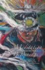 Meditation on Ceremonies of Beginnings : The Tribal College and World Indigenous Nations Higher Education Consortium Poems - Book