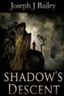Shadow's Descent : Tides of Darkness - The Chronicles of the Fists: Book 2 - Book