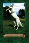Ride the White Horse : A Checkered Jockey's Story of Racing, Rage and Redemption - Book