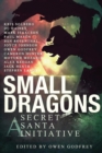 Small Dragons : A Secret Santa Initiative - Book