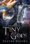 Tiny Gods : A Nate Temple Supernatural Thriller Book 6 - Book
