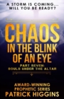 Chaos In The Blink Of An Eye Part Seven - Book