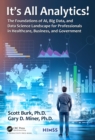 It's All Analytics! : The Foundations of Al, Big Data and Data Science Landscape for Professionals in Healthcare, Business, and Government - eBook