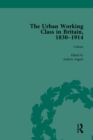 The Urban Working Class in Britain, 1830-1914 Vol 3 - eBook