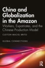 China and Globalization in the Amazon : Workers, Expatriates, and the Chinese Production Model - eBook