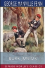 Burr Junior (Esprios Classics) : Illustrated by Harold C. Earnshaw - Book