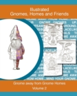 Gnomes, homes and friends volume 2 : Gnome away from home - Book