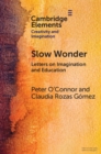 Slow Wonder : Letters on Imagination and Education - eBook