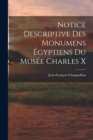 Notice Descriptive Des Monumens Egyptiens Du Musee Charles X - Book