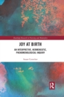 Joy at Birth : An Interpretive, Hermeneutic, Phenomenological Inquiry - Book