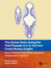 The Human Brain during the First Trimester 6.3- to 10.5-mm Crown-Rump Lengths : Atlas of Human Central Nervous System Development, Volume 2 - Book