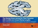 The Human Brain during the Third Trimester 225– to 235–mm Crown-Rump Lengths : Atlas of Central Nervous System Development, Volume 11 - Book