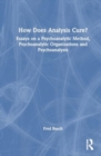 How Does Analysis Cure? : Essays on a Psychoanalytic Method, Psychoanalytic Organizations and Psychoanalysts - Book
