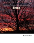 Trees 20x25 - Book