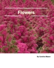 Flowers 20x25 - Book