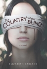 The Country of the Blind - Book
