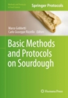Basic Methods and Protocols on Sourdough - Book
