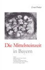 Die Mittelsteinzeit in Bayern - Book