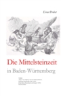 Die Mittelsteinzeit in Baden-Wurttemberg - Book