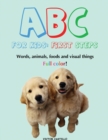 ABC For Kids (Words, animals, foods and visual things). : First Steps (Large Print Edition) - Book