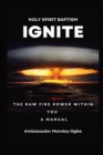 Ignite the Raw Fire Power Within You - Holy Spirit Baptism Manual - Book