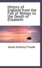 History of England from the Fall of Wolsey to the Death of Elizabeth - Book