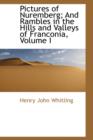 Pictures of Nuremberg; And Rambles in the Hills and Valleys of Franconia, Volume I - Book