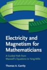 Electricity and Magnetism for Mathematicians : A Guided Path from Maxwell's Equations to Yang-Mills - Book
