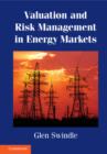 Valuation and Risk Management in Energy Markets - eBook
