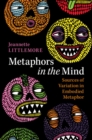 Metaphors in the Mind : Sources of Variation in Embodied Metaphor - eBook
