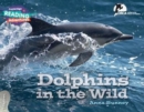 Cambridge Reading Adventures Dolphins in the Wild 3 Explorers - Book