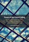 Panes of the Glass Ceiling : The Unspoken Beliefs Behind the Law's Failure to Help Women Achieve Professional Parity - eBook