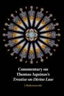Commentary on Thomas Aquinas's Treatise on Divine Law - eBook
