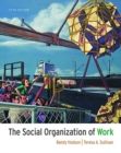 The Social Organization of Work - Book