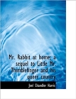 Mr. Rabbit at Home; a Sequel to Little Mr. Thimblefinger and His Queer Country - Book