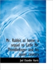 Mr. Rabbit at Home; A Sequel to Little Mr. Thimblefinger and His Queer Country - Book