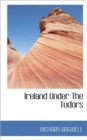 Ireland Under the Tudors, Volume III - Book