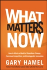 What Matters Now : How to Win in a World of Relentless Change, Ferocious Competition, and Unstoppable Innovation - Book