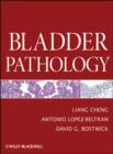 Bladder Pathology - eBook