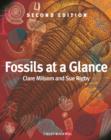 Fossils at a Glance - eBook