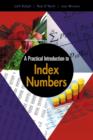 A Practical Introduction to Index Numbers - Book