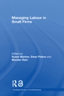 Managing Labour in Small Firms - eBook