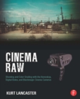Cinema Raw : Shooting and Color Grading with the Ikonoskop, Digital Bolex, and Blackmagic Cinema Cameras - eBook