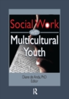 Social Work with Multicultural Youth - eBook