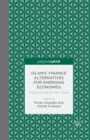 Islamic Finance Alternatives for Emerging Economies : Empirical Evidence from Turkey - eBook